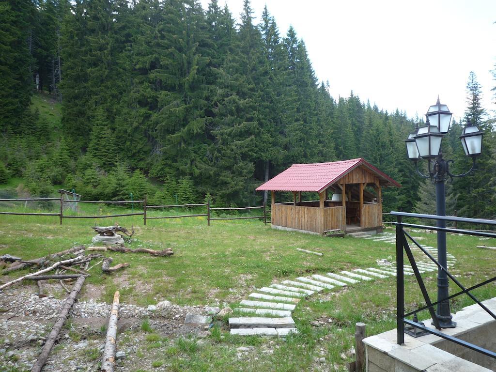 Ski Apartment In Castle Complex Pamporovo Værelse billede